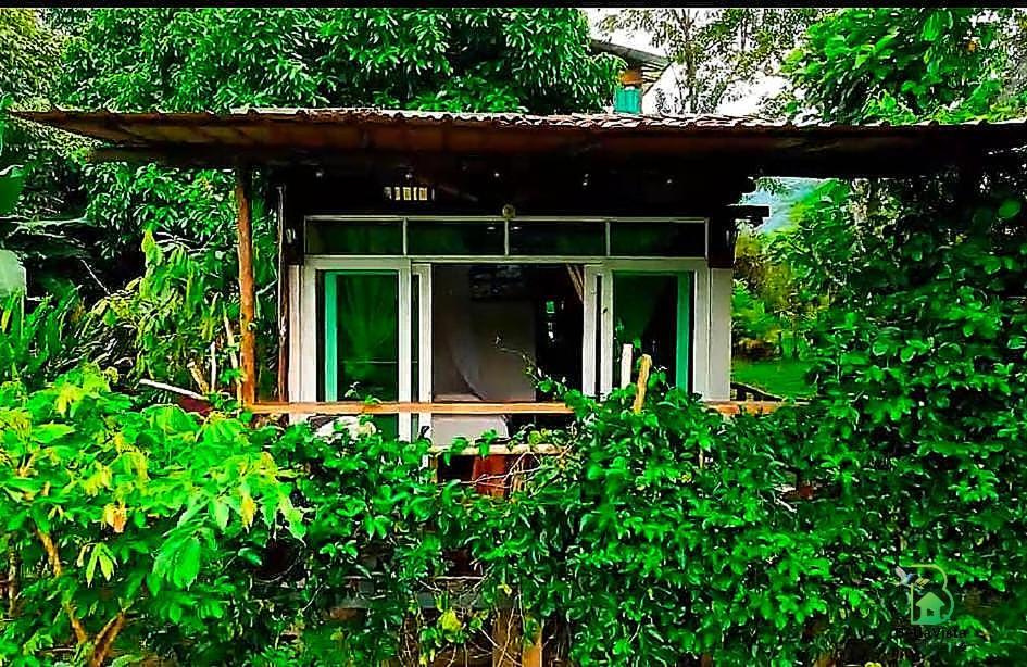 Alojamiento Rural Bellavista Experiences Мокоа Экстерьер фото